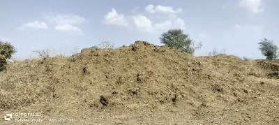 ImgResizer_20250605_1807_47339