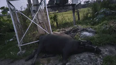 ImgResizer_20250911_1927_19621