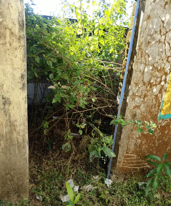 ImgResizer_20250108_1852_16744