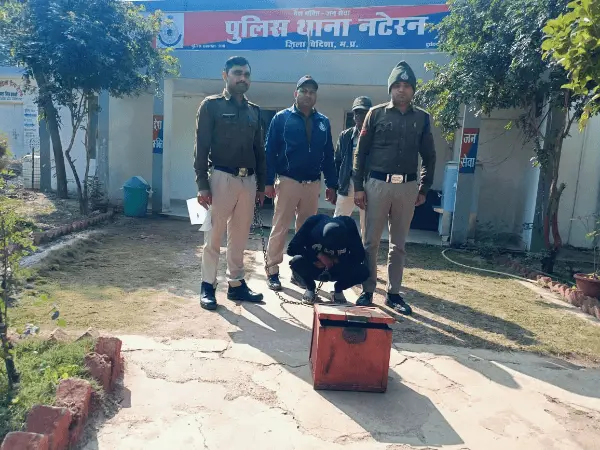 ImgResizer_20250125_1650_56120