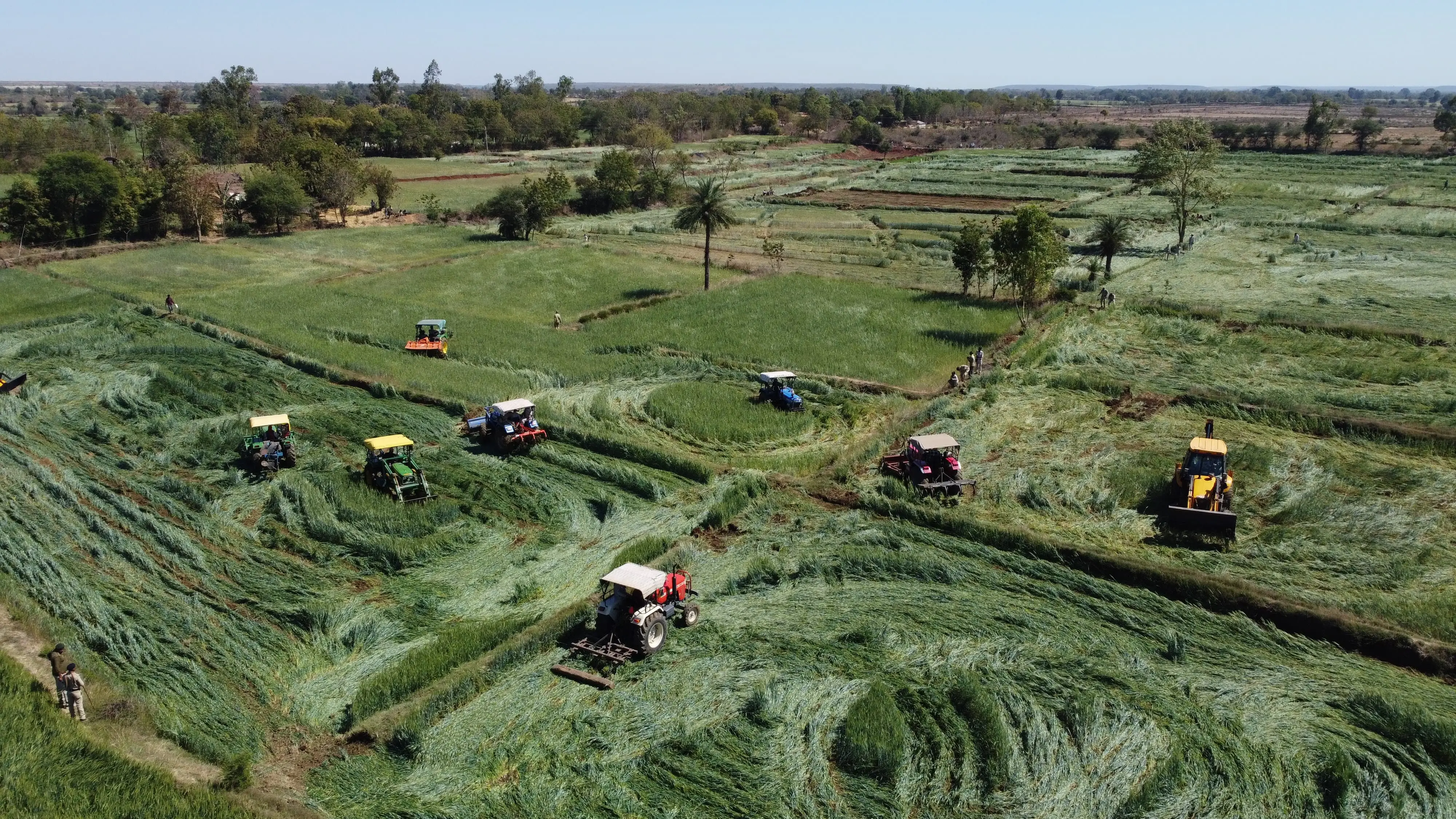 विदिशा में वन माफियाओं पर बड़ा प्रहार: प्रशासन ने 255 हेक्टेयर वन भूमि अतिक्रमण मुक्त कराई!  लटेरी वन परिक्षेत्र में प्रशासन का बुलडोजर गरजा, अवैध कब्जे किए ध्वस्त