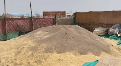 जबलपुर ब्रेकिंग: मझौली के ‘मां रेवा वेयरहाउस’ में गेहूं में मिलाई जा रही मिट्टी, हड़कंप मचा