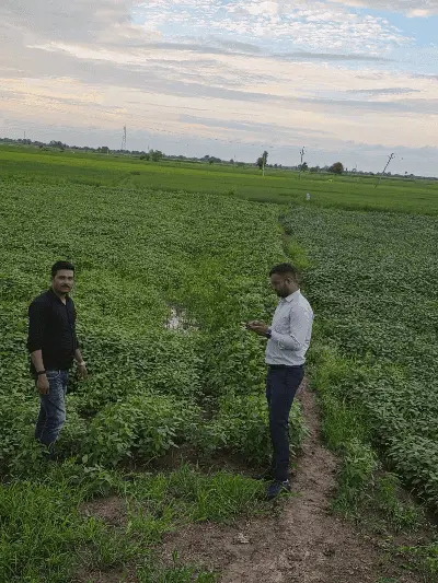 विदिशा: खेतों में पहुंचा प्रशासन, युद्धस्तर पर चल रही फसलों की जांच