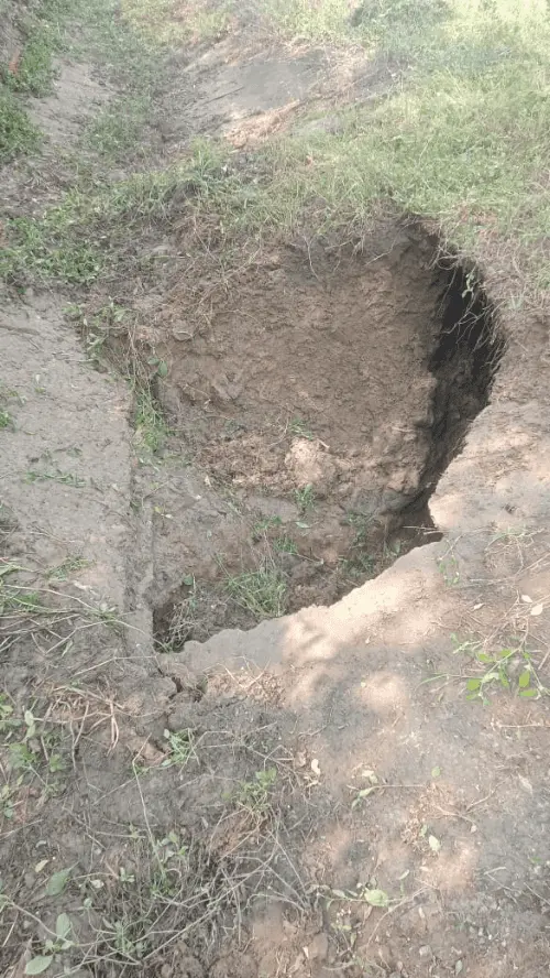 मौत की नहर': सीधी में 5 साल, 9 ब्रेक! जब सिंचाई परियोजना ही बन गई सैकड़ों किसानों का ‘काल’